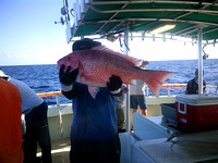 6/29/20 Red Snapper Trip